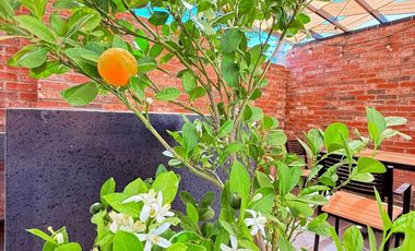 SE RENTA DEPARTAMENTO LOFT TOTALMENTE AMUEBLADO CON ROOF GARDEN EN PANAMERICANA