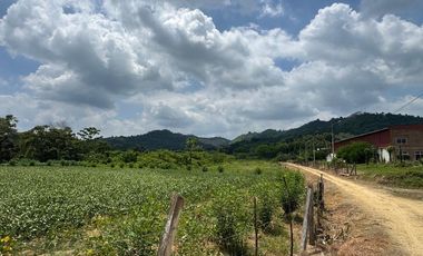 terreno en venta en Calceta canton bolívar