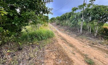 terreno en venta en Calceta canton bolívar