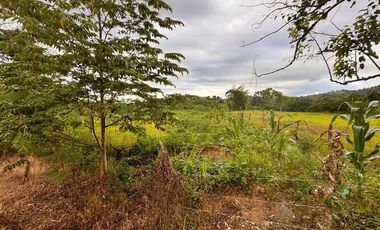 terreno en venta en Calceta canton bolívar
