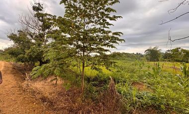 terreno en venta en Calceta canton bolívar