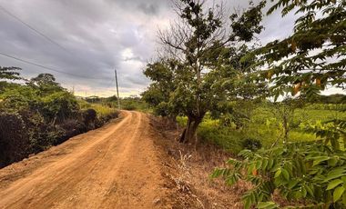 terreno en venta en Calceta canton bolívar
