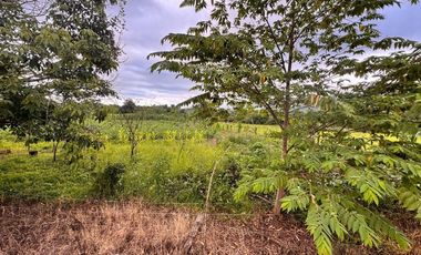 terreno en venta en Calceta canton bolívar