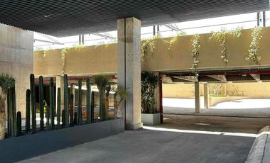 RENTA DEPARTAMENTO