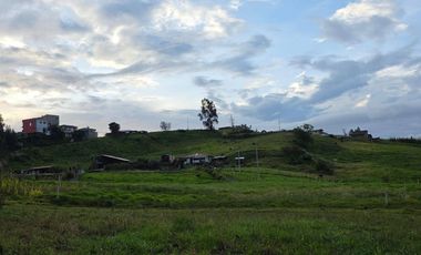 Terreno de 3.1 hectáreas en Venta en Paccha, Cuenca | Ideal para Proyectos