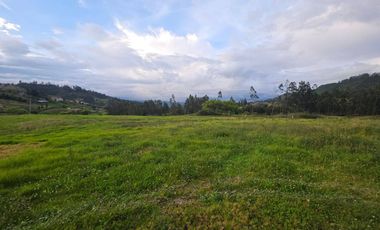 Terreno de 3.1 hectáreas en Venta en Paccha, Cuenca | Ideal para Proyectos