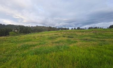 Terreno de 3.1 hectáreas en Venta en Paccha, Cuenca | Ideal para Proyectos