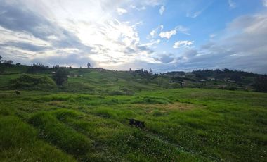 Terreno de 3.1 hectáreas en Venta en Paccha, Cuenca | Ideal para Proyectos