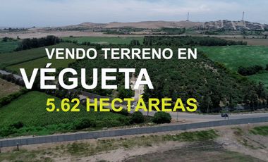 VENTA TERRENO AGRICOLA 5.6 HECTAREAS