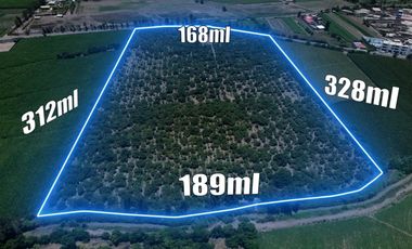 VENTA TERRENO AGRICOLA 5.6 HECTAREAS