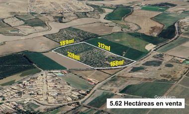 VENTA TERRENO AGRICOLA 5.6 HECTAREAS