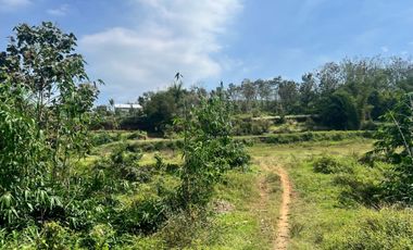Tanah dijual di Jamuran, Wagir, Kabupaten Malang, Jawa Timur