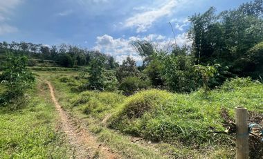 Tanah dijual di Jamuran, Wagir, Kabupaten Malang, Jawa Timur