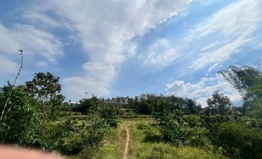 Tanah dijual di Jamuran, Wagir, Kabupaten Malang, Jawa Timur
