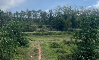 Tanah dijual di Jamuran, Wagir, Kabupaten Malang, Jawa Timur