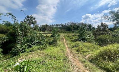 Tanah dijual di Jamuran, Wagir, Kabupaten Malang, Jawa Timur
