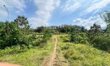 Tanah dijual di Jamuran, Wagir, Kabupaten Malang, Jawa Timur