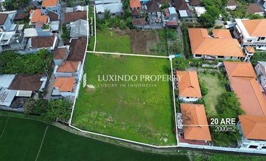 DISEWAKAN JANGKA PANJANG TANAH 20ARE DI CANGGU