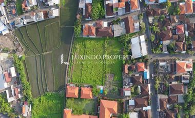 DISEWAKAN JANGKA PANJANG TANAH 20ARE DI CANGGU