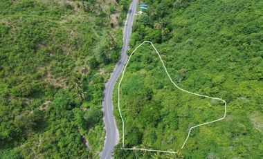 🌴 TANAH SEWA PREMIUM DEKAT PANTAI LANCING & TAMPAH – VIEW LAUT & BUKIT 🌊