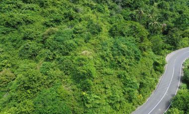 🌴 TANAH SEWA PREMIUM DEKAT PANTAI LANCING & TAMPAH – VIEW LAUT & BUKIT 🌊
