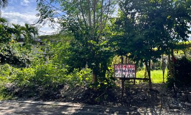 416 sqm Lot for Sale at Alabang 400 Village