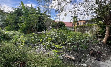 416 sqm Lot for Sale at Alabang 400 Village