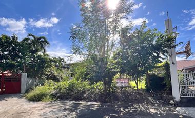 416 sqm Lot for Sale at Alabang 400 Village