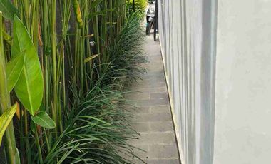 Di sewa Vila cantik 3 bedroom 3 lantai rooftop view Jungle di Ubud