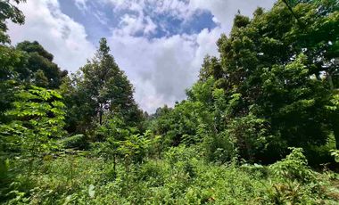 tanah kebun durian murah dan sangat strategis dengan view gunung dan los sungai
