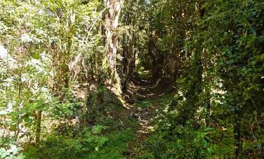 :
🌲 OPORTUNIDAD ÚNICA EN NERCÓN ALTO, superficie 2 hás. Bosque Nativo.