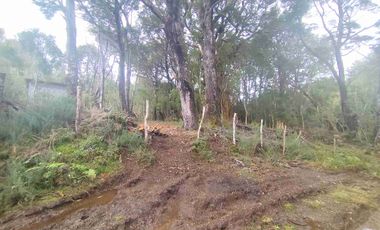 :
🌲 OPORTUNIDAD ÚNICA EN NERCÓN ALTO, superficie 2 hás. Bosque Nativo.