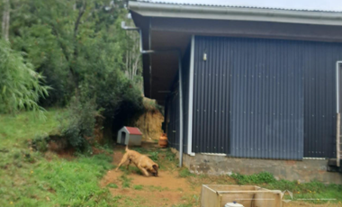 casa en 1 hectarea sector San Ignacio Alto