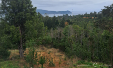 casa en 1 hectarea sector San Ignacio Alto