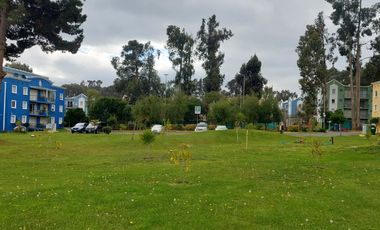¡¡¡REBAJADO!! ¡Depto. Amoblado en Algarrobo con Vista Nor-Poniente!