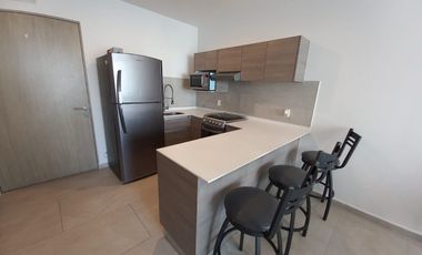 Departamento en Renta en Nuevo Sur