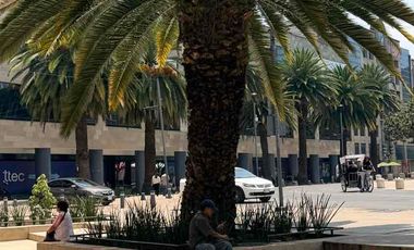 2 Edificios Corporativos frente al Monumento a la Revolución | Venta y Renta