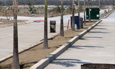 LOTES EN VENTA EN VALLE REAL EN VILLA DE ALVAREZ