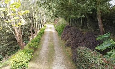 VENTA CASA CAMPESTRE MARINILLA A 10 MINUTOS DE RIO NEGRO