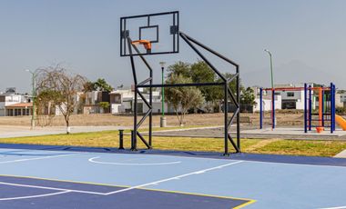 LOTES EN VENTA EN ETHEREUM EN COLIMA