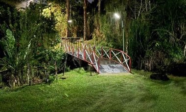 🌳FINCA VÍA TERMALES EN RENTA 
 4.400 mts² Santa Rosa de Cabal,  Vereda la Leona, Sector Vísperas