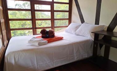 🌳FINCA VÍA TERMALES EN RENTA 
 4.400 mts² Santa Rosa de Cabal,  Vereda la Leona, Sector Vísperas