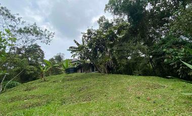 🌳FINCA VÍA TERMALES EN RENTA 
 4.400 mts² Santa Rosa de Cabal,  Vereda la Leona, Sector Vísperas