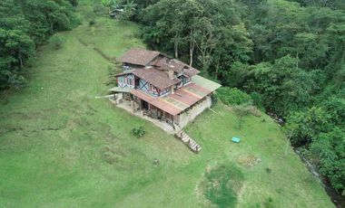 🌳FINCA VÍA TERMALES EN RENTA 
 4.400 mts² Santa Rosa de Cabal,  Vereda la Leona, Sector Vísperas