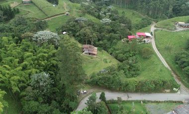 🌳FINCA VÍA TERMALES EN RENTA 
 4.400 mts² Santa Rosa de Cabal,  Vereda la Leona, Sector Vísperas
