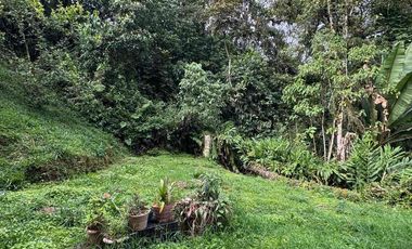 🌳FINCA VÍA TERMALES EN RENTA 
 4.400 mts² Santa Rosa de Cabal,  Vereda la Leona, Sector Vísperas