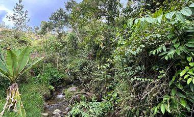 🌳FINCA VÍA TERMALES EN RENTA 
 4.400 mts² Santa Rosa de Cabal,  Vereda la Leona, Sector Vísperas