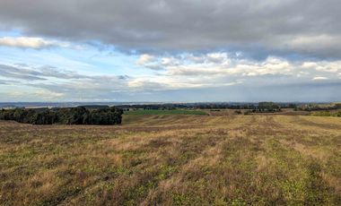Campo en Venta en San Pablo, Osorno – 116,6 Hectáreas con Alto Potencial Agrícola o para Desarrollo Inmobiliario