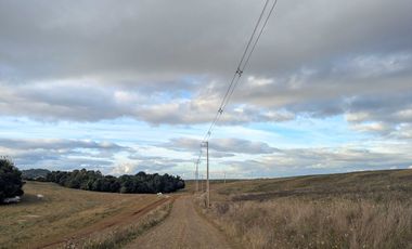 Campo en Venta en San Pablo, Osorno – 116,6 Hectáreas con Alto Potencial Agrícola o para Desarrollo Inmobiliario