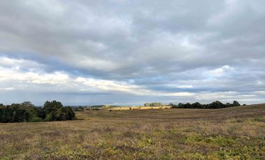 Campo en Venta en San Pablo, Osorno – 116,6 Hectáreas con Alto Potencial Agrícola o para Desarrollo Inmobiliario